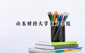 山东财经大学东方学院2024在山东录取分数线是多少？最低268分/最高506分