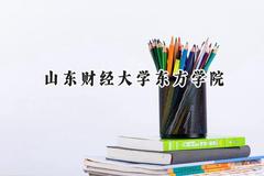 山东财经大学东方学院2024在山东录取分数线是多少？最低268分/最高506分
