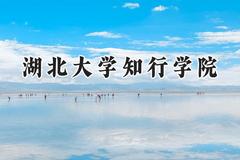 湖北大学知行学院2024在福建录取分数线是多少？最低453分/最高499分