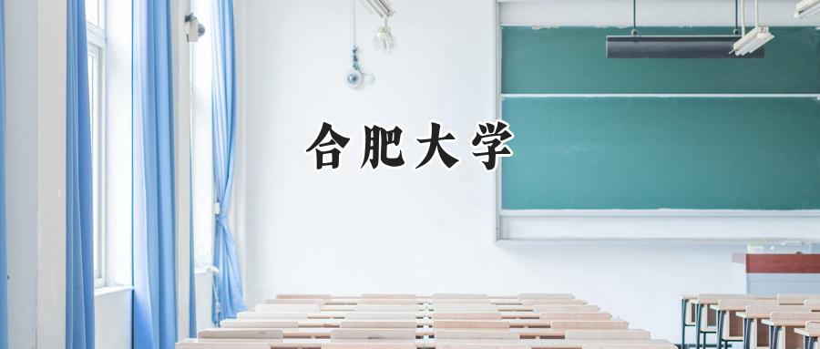 合肥大学