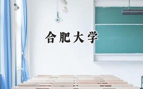 合肥大学2024在福建录取分数线是多少？最低505分/最高546分