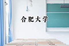 合肥大学2024在福建录取分数线是多少？最低505分/最高546分