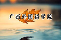 广西外国语学院2024在福建录取分数线是多少？最低411分/最高476分