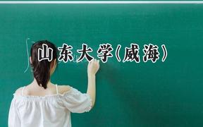 山东大学(威海)2024在青海录取分数线是多少？最低423分/最高500分