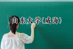 山东大学(威海)2024在青海录取分数线是多少？最低423分/最高500分