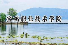 宝鸡职业技术学院2024在青海录取分数线是多少？最低308分/最高394分