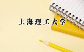 上海理工大学2024在山东录取分数线是多少？最低562分/最高599分