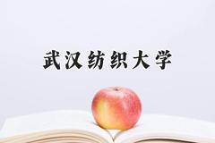 武汉纺织大学2024在山东录取分数线是多少？最低519分/最高554分
