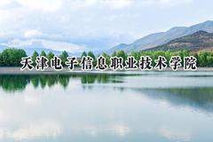 天津电子信息职业技术学院2024在山东录取分数线是多少？最低446分/最高464分