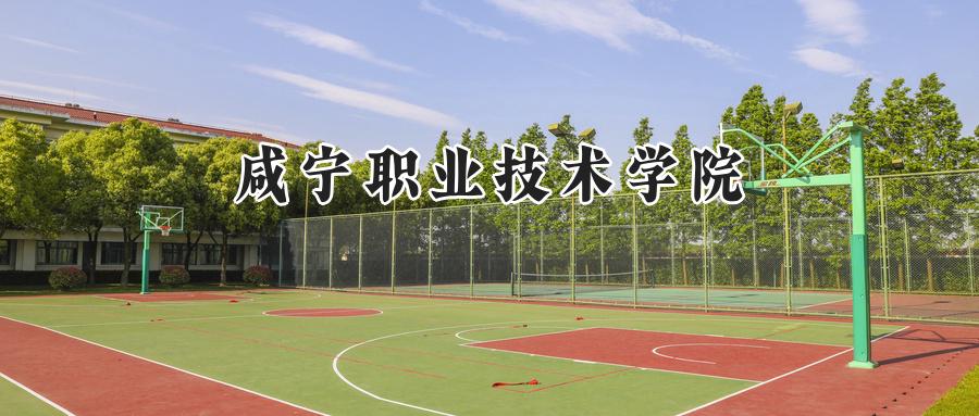 咸宁职业技术学院