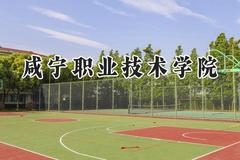 咸宁职业技术学院2024在青海录取分数线是多少？最低265分/最高332分