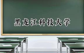 黑龙江科技大学2024在山东录取分数线是多少？最低503分/最高549分