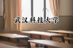 武汉科技大学2024在福建录取分数线是多少？最低538分/最高599分