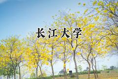 长江大学2024在福建录取分数线是多少？最低543分/最高582分