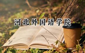 河北外国语学院2024在青海录取分数线是多少？最低330分/最高398分