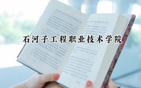 石河子工程职业技术学院2024在青海录取分数线是多少？最低234分/最高312分