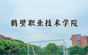 鹤壁职业技术学院2024在青海录取分数线是多少？最低253分/最高320分
