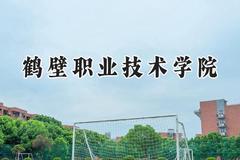 鹤壁职业技术学院2024在青海录取分数线是多少？最低253分/最高320分