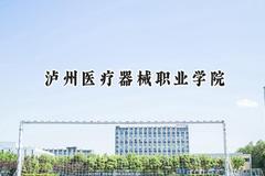 泸州医疗器械职业学院2024在青海录取分数线是多少？最低253分/最高297分