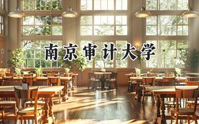 南京审计大学2024在新疆录取分数线是多少？最低463分/最高520分