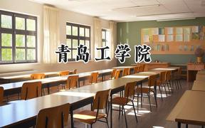 青岛工学院2024在山东录取分数线是多少？最低243分/最高498分
