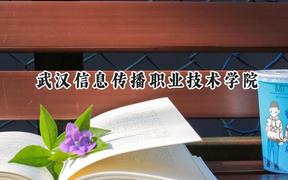 武汉信息传播职业技术学院2024在山东录取分数线是多少？最低302分/最高394分