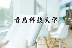 青岛科技大学2024在新疆录取分数线是多少？最低392分/最高449分