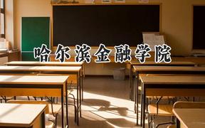 哈尔滨金融学院2024在山东录取分数线是多少？最低497分/最高535分