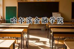哈尔滨金融学院2024在山东录取分数线是多少？最低497分/最高535分