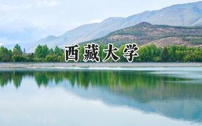 西藏大學2024在山東錄取分數(shù)線是多少？最低532分/最高574分