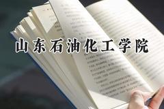 山东石油化工学院2024在山东录取分数线是多少？最低461分/最高528分