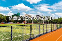西南财经大学(中外合作)2024在福建录取分数线是多少？最低568分/最高606分