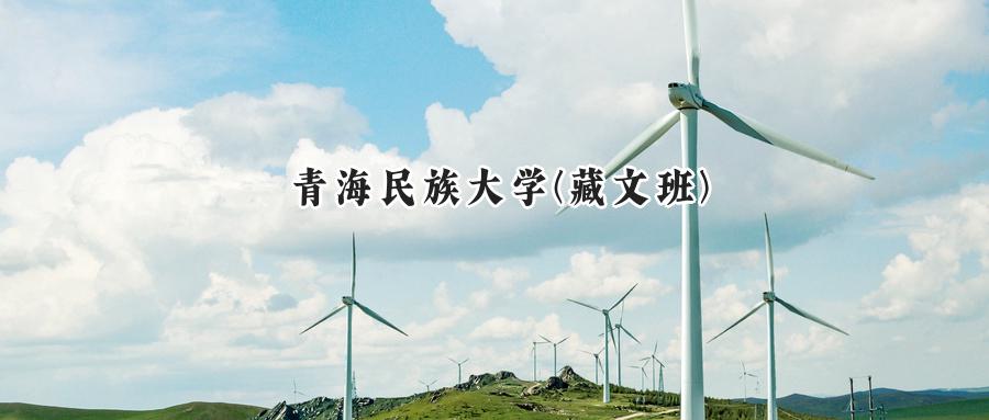 青海民族大学(藏文班)
