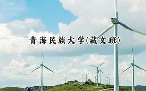 青海民族大学(藏文班)2024在青海录取分数线是多少？最低417分/最高495分