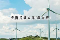 青海民族大学(藏文班)2024在青海录取分数线是多少？最低417分/最高495分