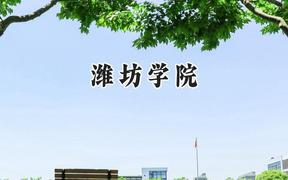 潍坊学院2024在山东录取分数线是多少？最低437分/最高536分