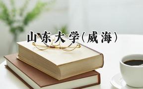 山东大学(威海)2024在山东录取分数线是多少？最低607分/最高622分