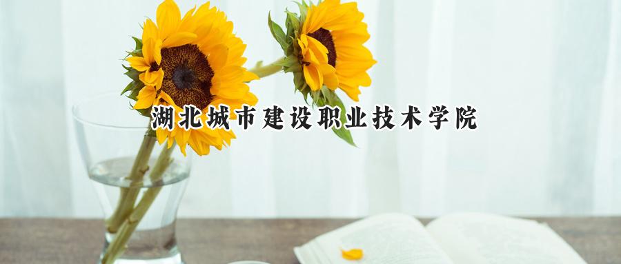 湖北城市建设职业技术学院