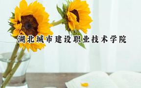 湖北城市建设职业技术学院2024在青海录取分数线是多少？最低273分/最高316分