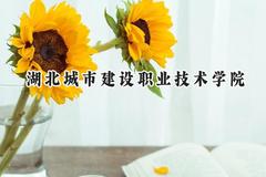 湖北城市建设职业技术学院2024在青海录取分数线是多少？最低273分/最高316分