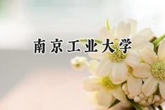 南京工业大学2024在山东录取分数线是多少？最低530分/最高597分