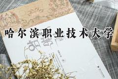 哈尔滨职业技术大学2024在山东录取分数线是多少？最低424分/最高498分
