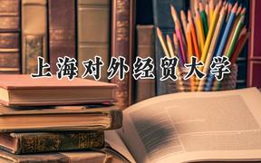 上海对外经贸大学2024在山东录取分数线是多少？最低566分/最高606分