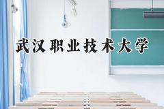 武汉职业技术大学2024在青海录取分数线是多少？最低323分/最高365分