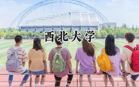 西北大学2024在新疆录取分数线是多少？最低480分/最高544分