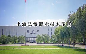上海思博职业技术学院2024在山东录取分数线是多少？最低230分/最高322分