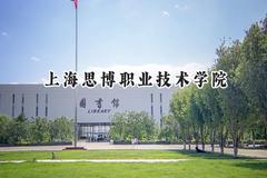 上海思博职业技术学院2024在山东录取分数线是多少？最低230分/最高322分