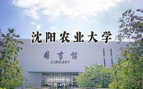 沈阳农业大学2024在山东录取分数线是多少？最低495分/最高553分
