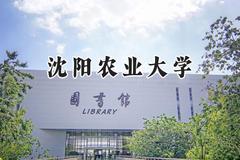 沈阳农业大学2024在山东录取分数线是多少？最低495分/最高553分