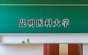 昆明医科大学2024在山东录取分数线是多少？最低501分/最高597分